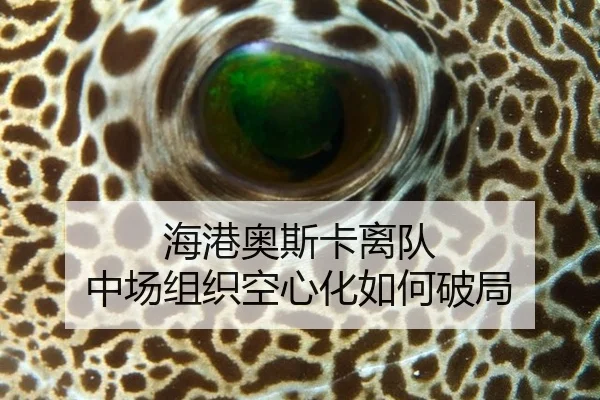 海港奥斯卡离队 中场组织空心化如何破局