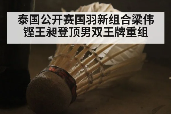 泰国公开赛国羽新组合梁伟铿王昶登顶男双王牌重组